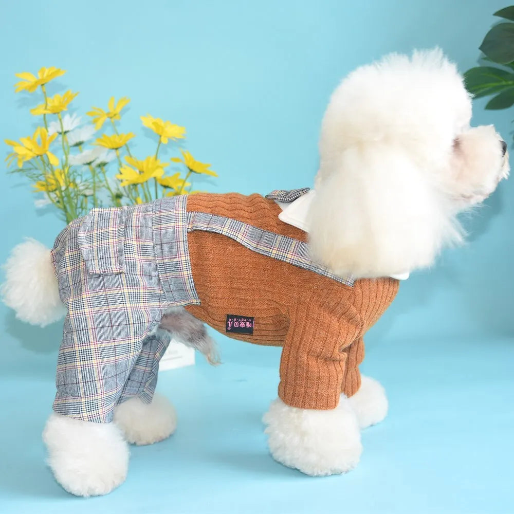 Orange cotton dog suit shirt with collar and buttons on a small dog