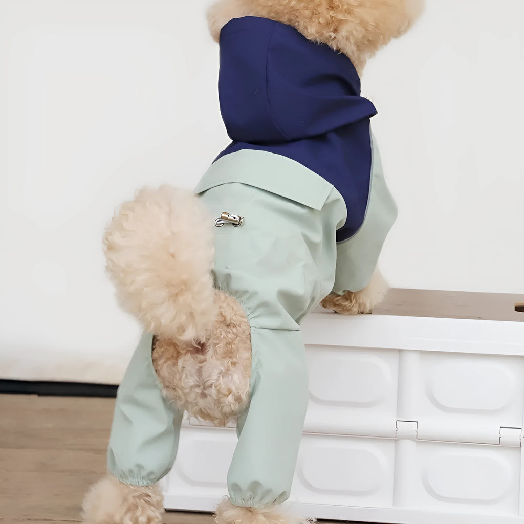 A small or medium-sized dog wearing a khaki-coloured British-style waterproof shell jacket.