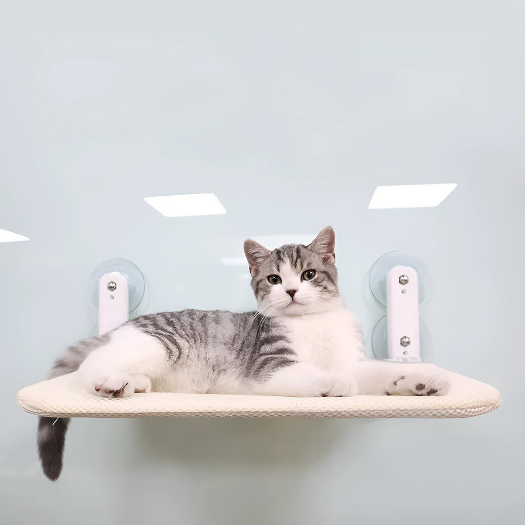 Stainless steel cat window perch with suction cups in beige mesh, grey mesh, or grey plush.