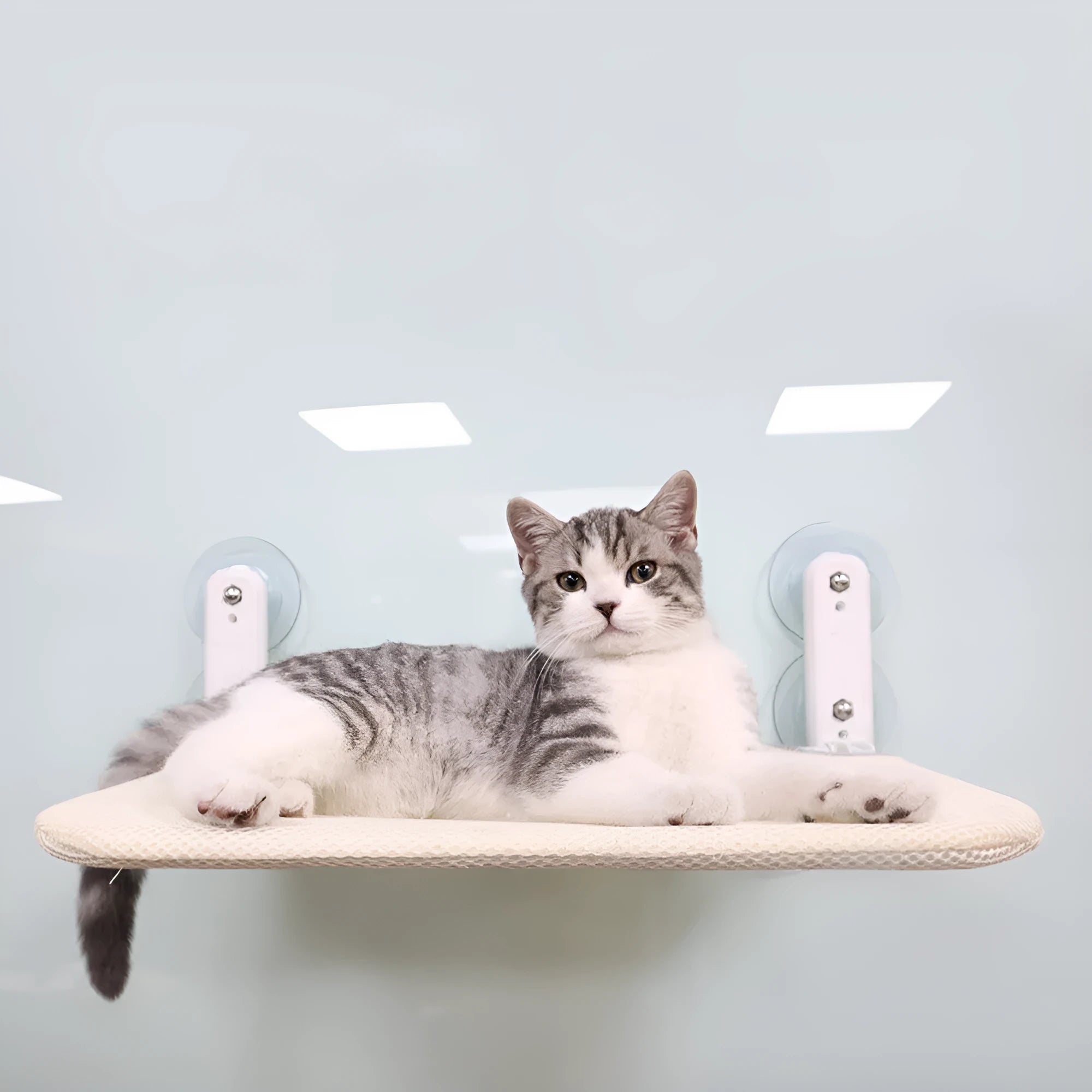 Stainless steel cat window perch with suction cups in beige mesh, grey mesh, or grey plush.