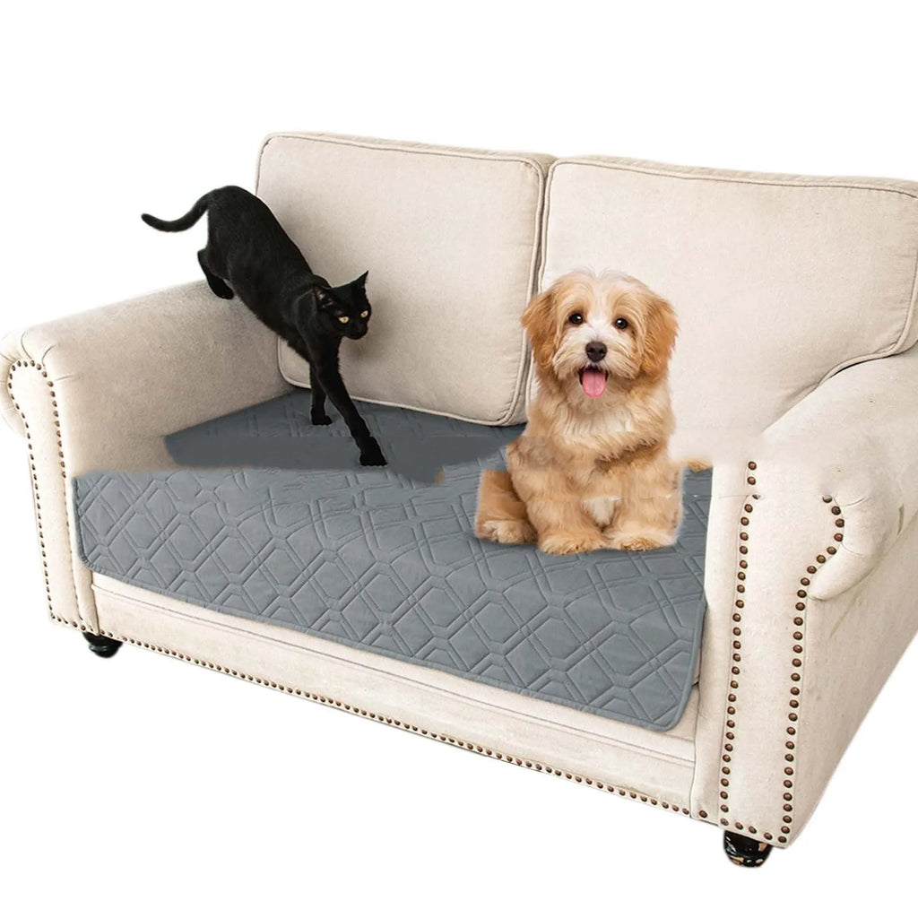 Reversible dark grey and light grey waterproof dog sofa cushion on a leather sofa