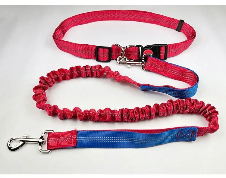 Grey and green elastic dog leash with reflective elements for night visibility during outdoor running