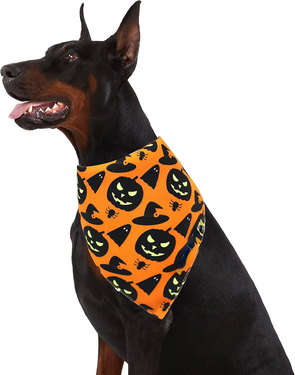 Reversible Halloween dog bandana showing pumpkin pattern on orange side and spider web design on black side