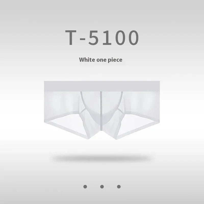 Men's seamless low waist underwear in ice silk fabric shown in chocolate colour on a white background