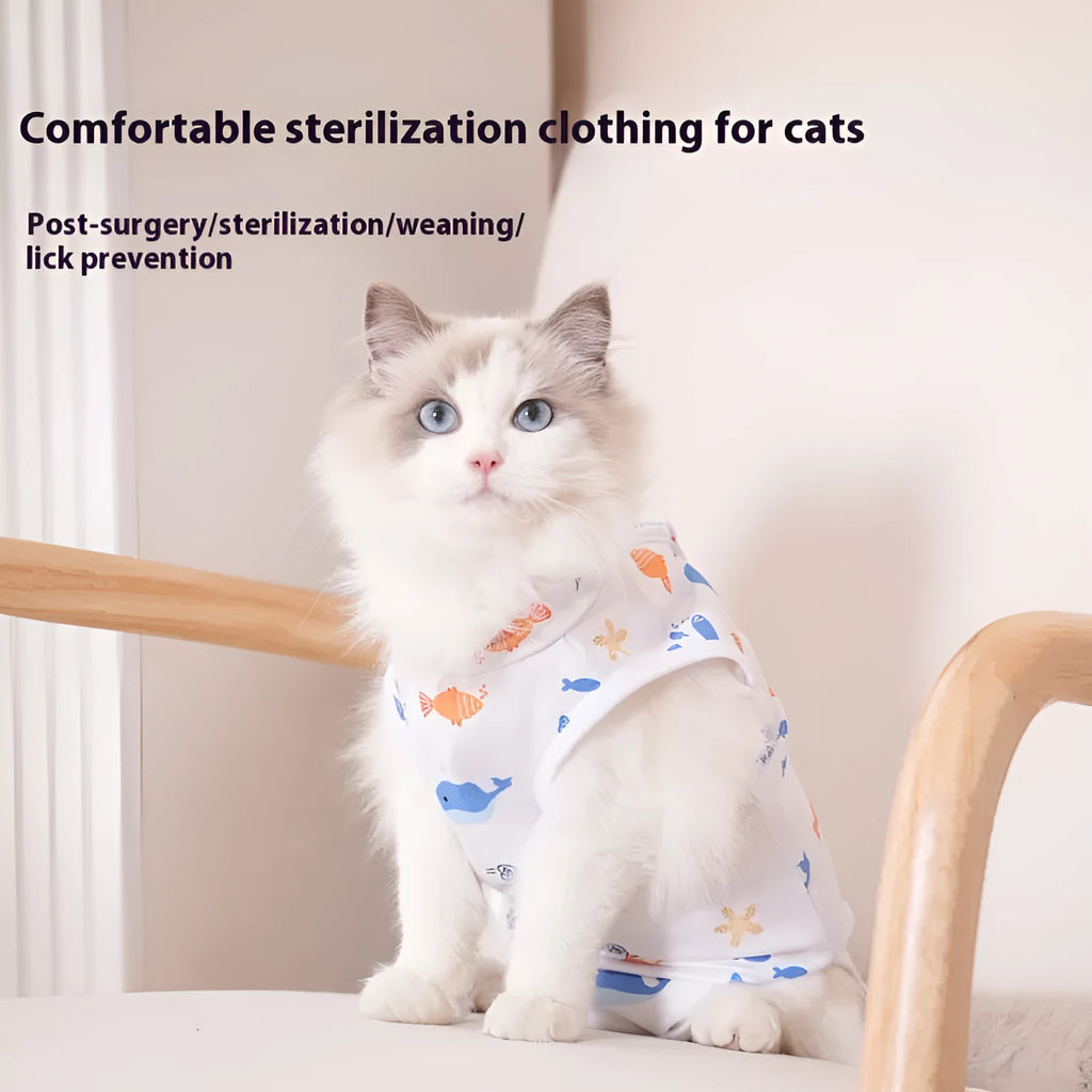 Cat wearing sterilisation recovery suit with full-body coverage and velcro closure