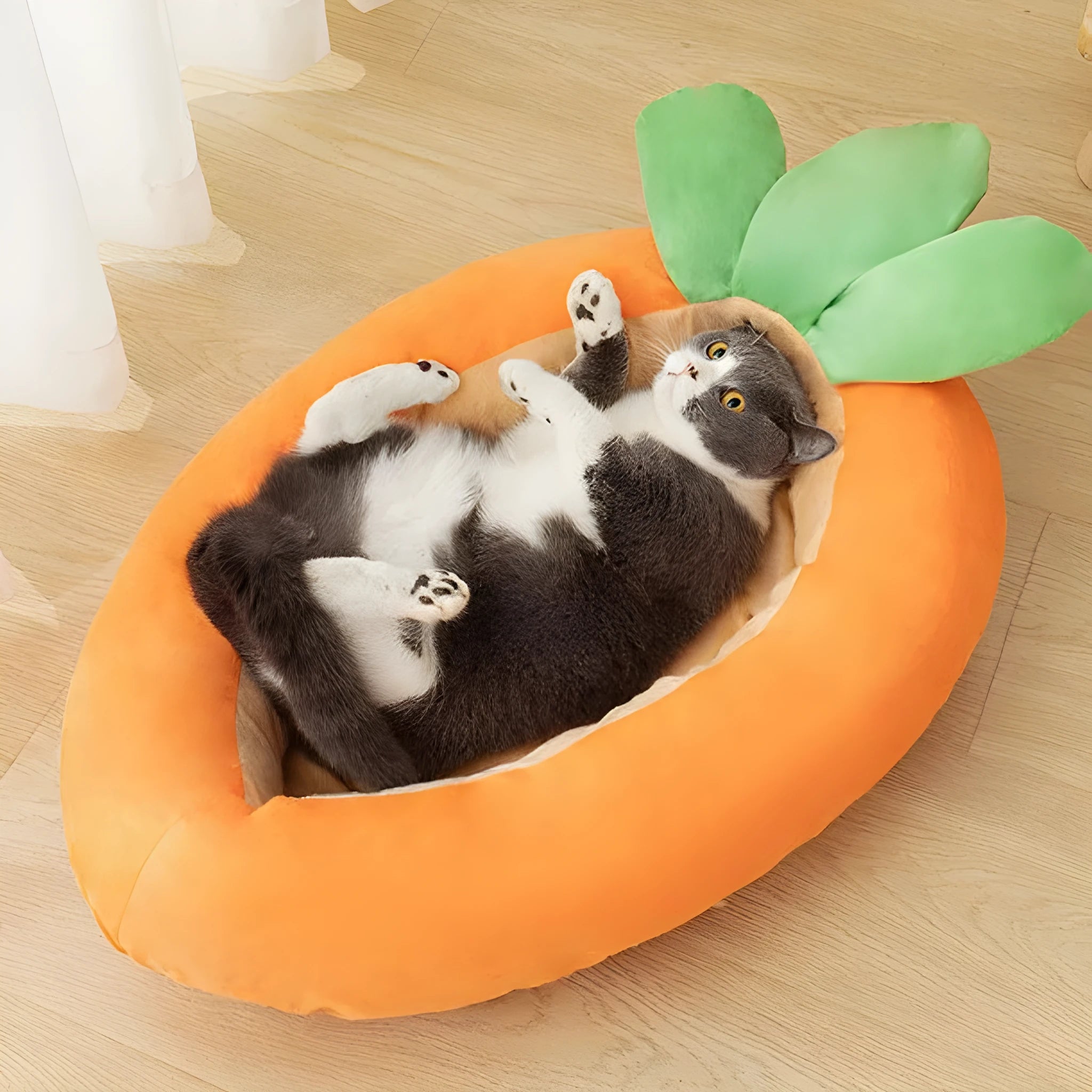 Carrot cartoon pattern dog mattress with removable cover in medium and large sizes