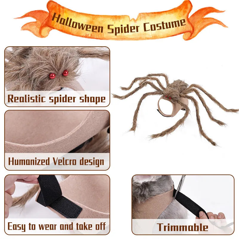 Halloween spider costume for pets in multiple colour options