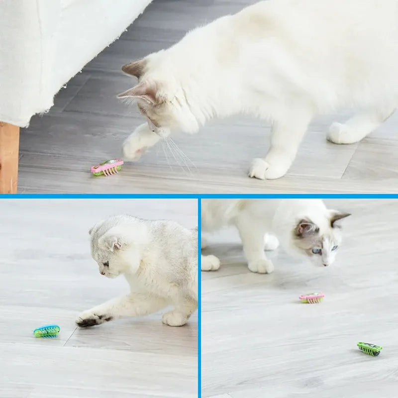 Small electric bug toy for cats with 12 legs and self-righting capability