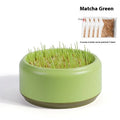 Hydroponic cat grass kit with soilless seeds in plastic growing cup