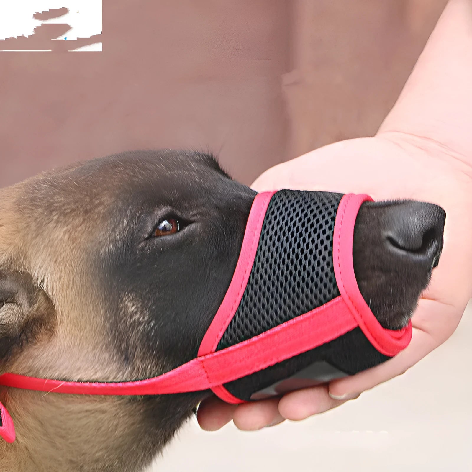 Cloth dog mouth cover to prevent eating indiscriminately in black for large Labradors