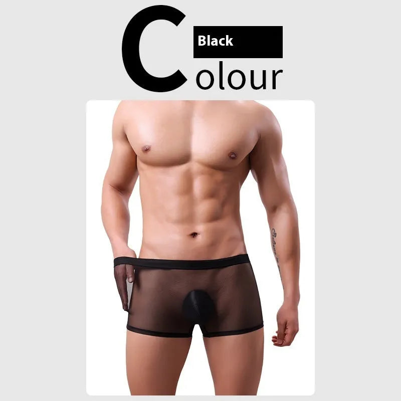 Men's mesh boxer briefs in black, white, green, sapphire blue, skin colour, or pink