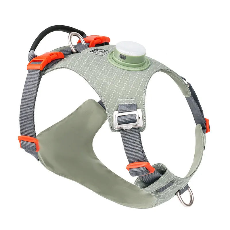 LED light dog chest harness in multiple colours with adjustable sizing for evening walks