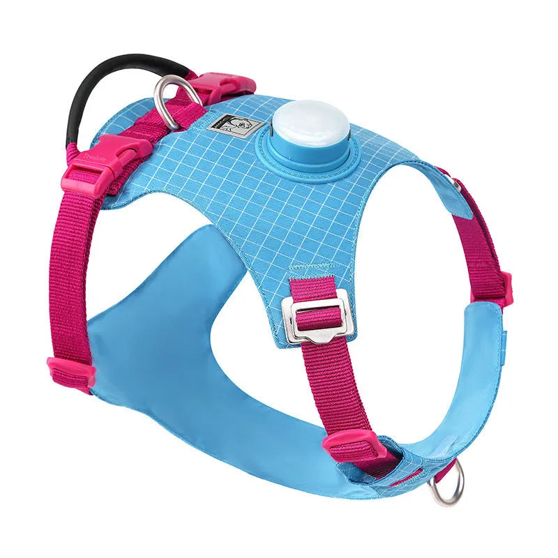 LED light dog chest harness in multiple colours with adjustable sizing for evening walks