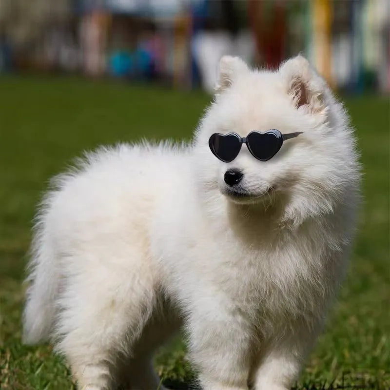 Pet doll sunglasses toy accessory PC full rim frame black film size colour options