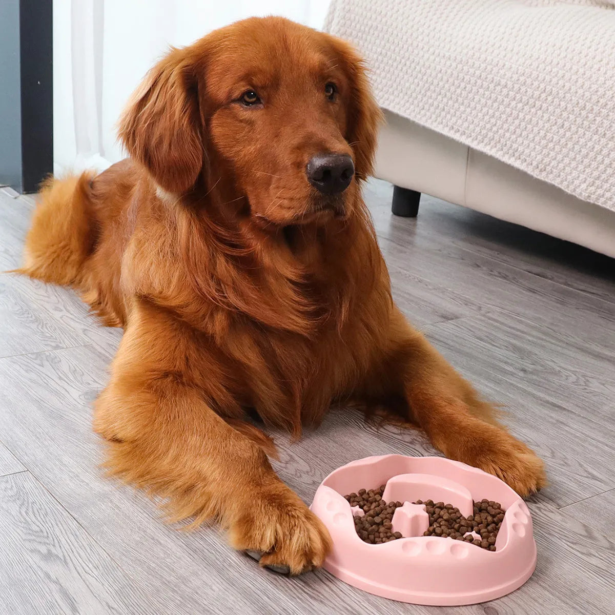 Moon star wings pattern dog slow feeder bowl with non-slip silicone base in blue, grey, green, pink or yellow