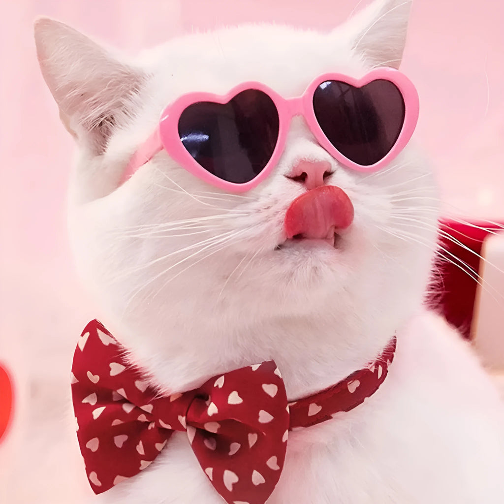 Pet doll sunglasses toy accessory PC full rim frame black film size colour options