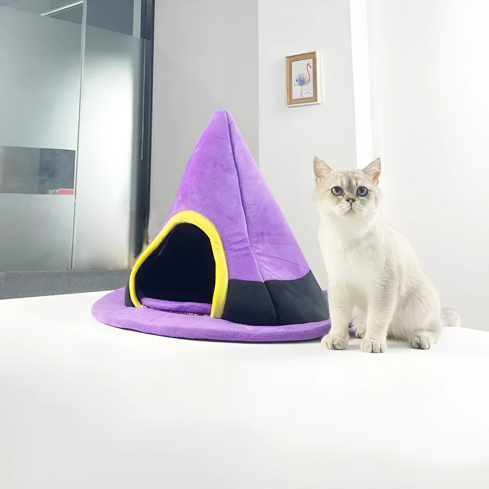 Purple Halloween witch hat shaped cat nest pet bed measuring 60 by 45 cm