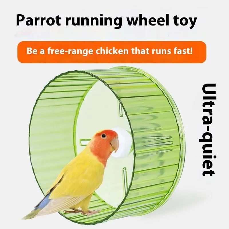 Plastic parrot running wheel toy in transparent colour showing circular treadmill design