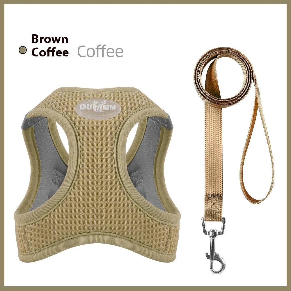 Cloth cat harness with chest strap and hand-holding rope in brown, green, purple colour options