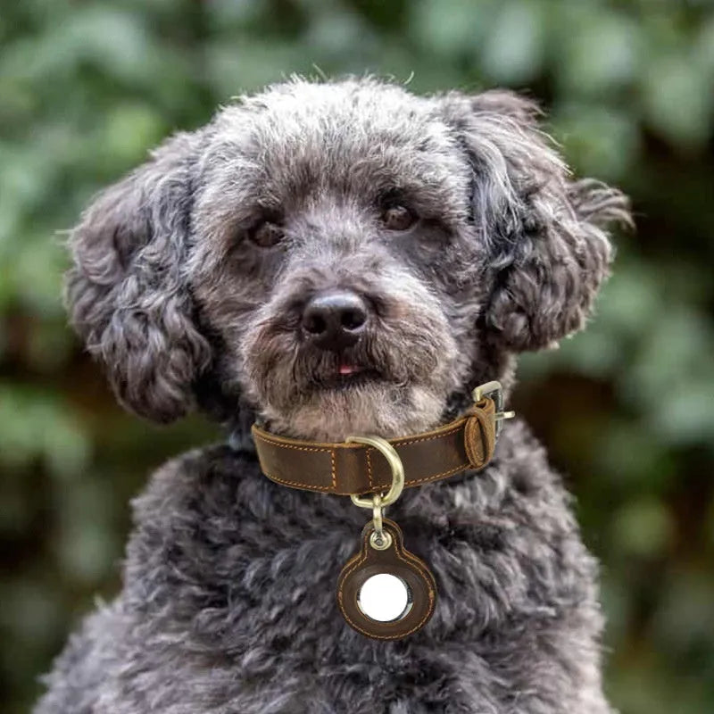 Handmade retro double-sided cowhide genuine leather dog collar in brown with anti-lost feature