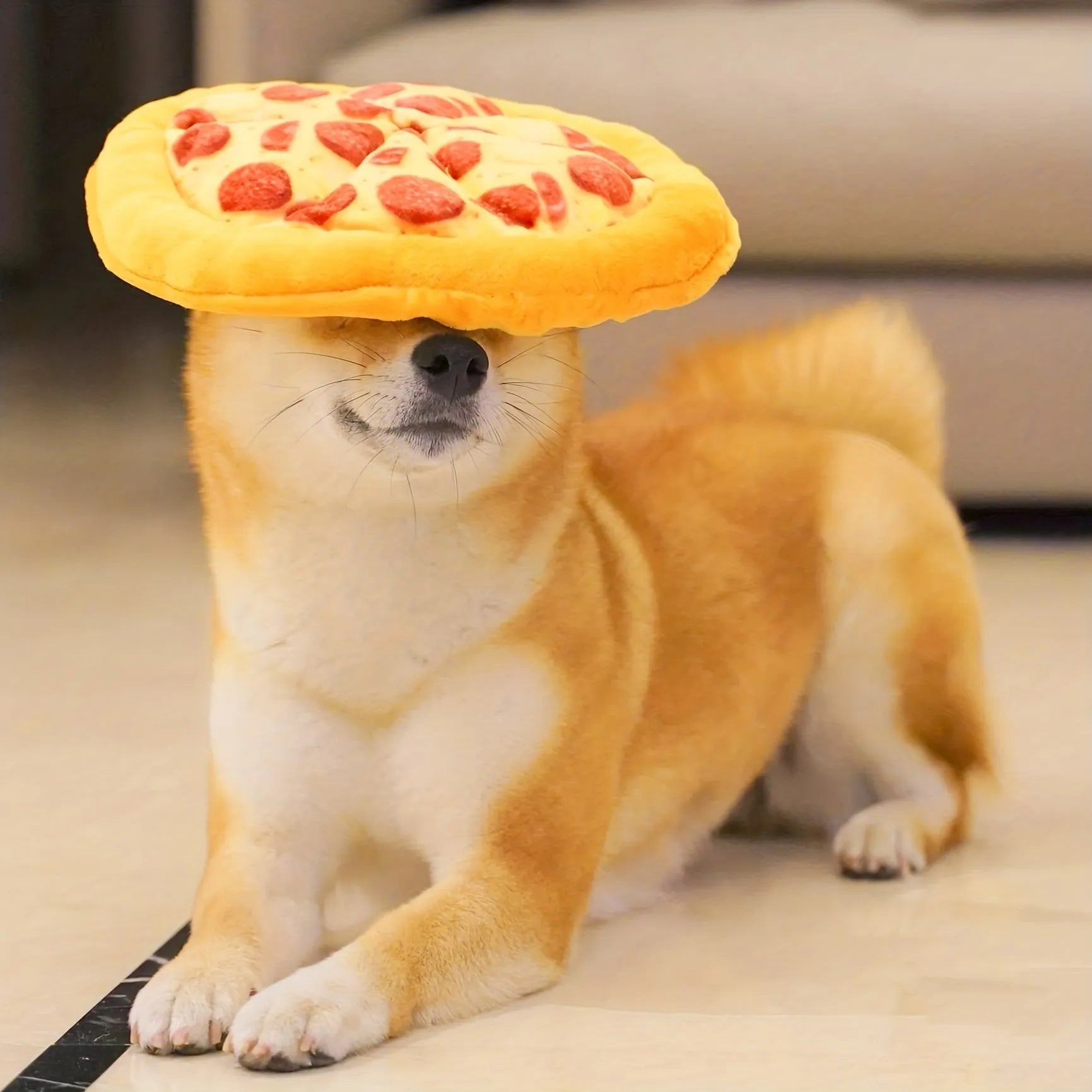 Yellow pizza slice shaped soft fabric dog chew toy with internal squeaker.