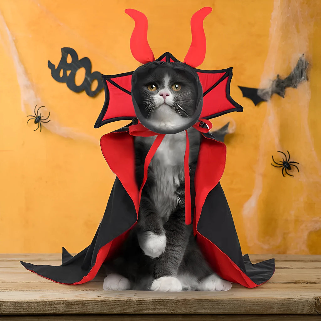 Black polyester vampire cloak and hat Halloween costume for pets on a white background