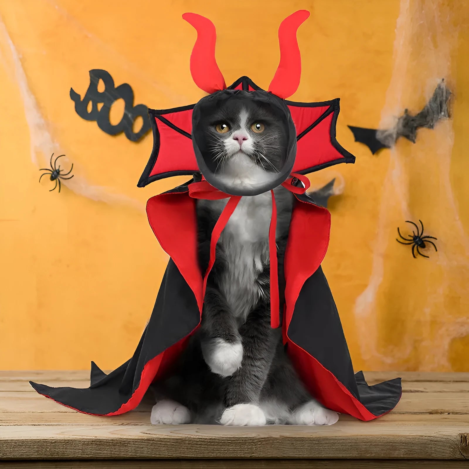 Black polyester vampire cloak and hat Halloween costume for pets on a white background