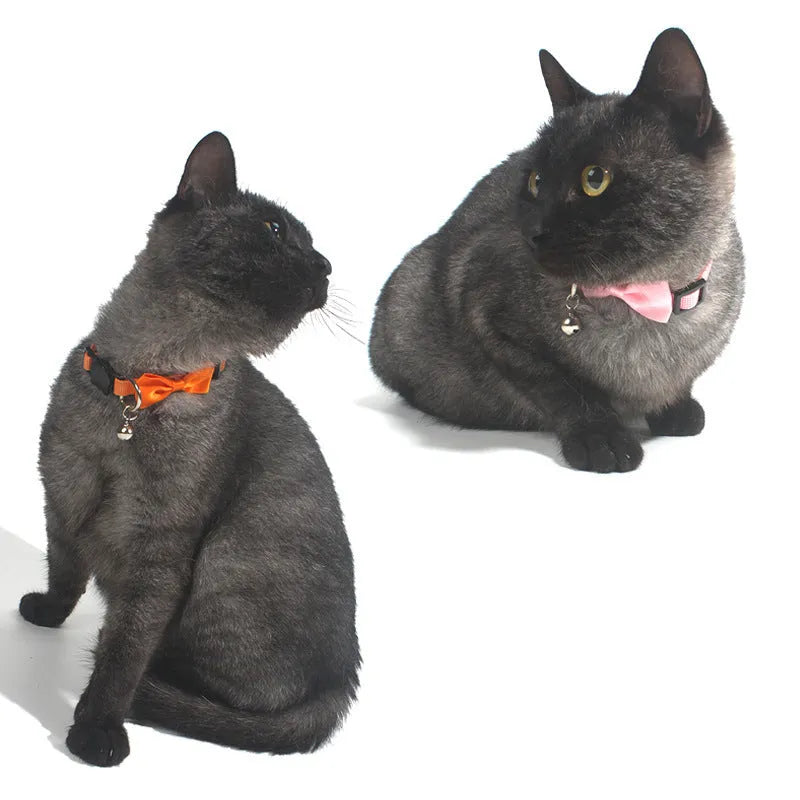 Adjustable striped nylon cat collar with a bell shown in multiple colours including red, blue, green, and pink.