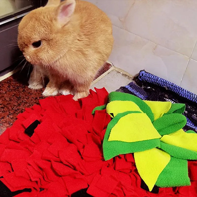 Red and green strawberry-shaped pet slow feeder mat with hiding spots measuring 45x35 cm