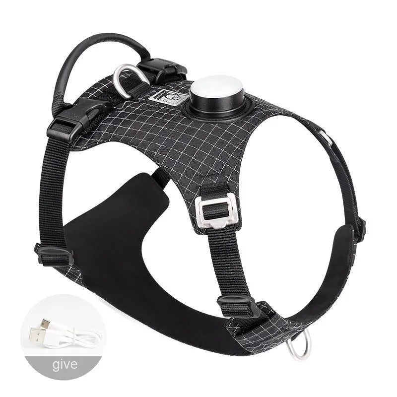 LED light dog chest harness in multiple colours with adjustable sizing for evening walks