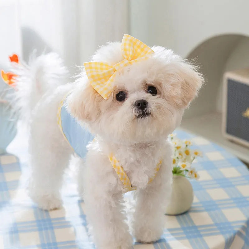 Small dog wearing heart bow suspenders vest in elastic material with decorative bow detail
