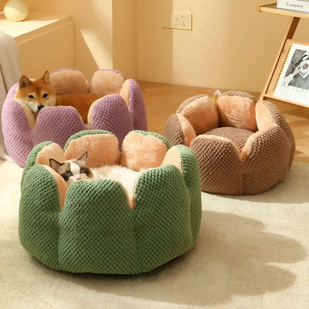 Green cactus petal shaped plush dog bed with a non-slip bottom on a wooden floor.