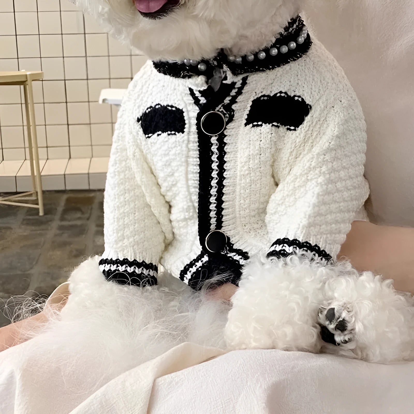 Korean style puppy sweater with pearl collar for small dogs, available in black and white