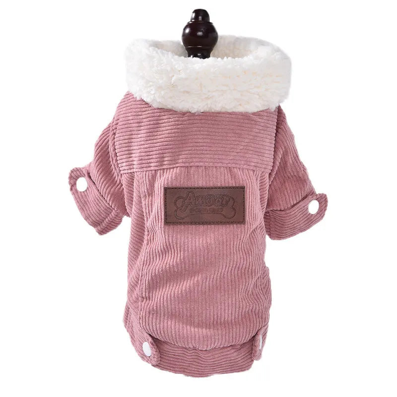 Lambswool grey dog vest with wool lining for autumn and winter wear