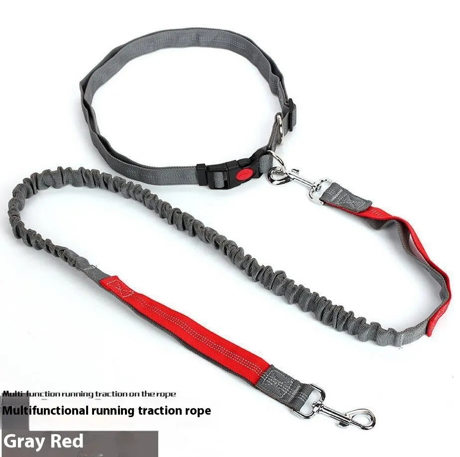 Grey and green elastic dog leash with reflective elements for night visibility during outdoor running