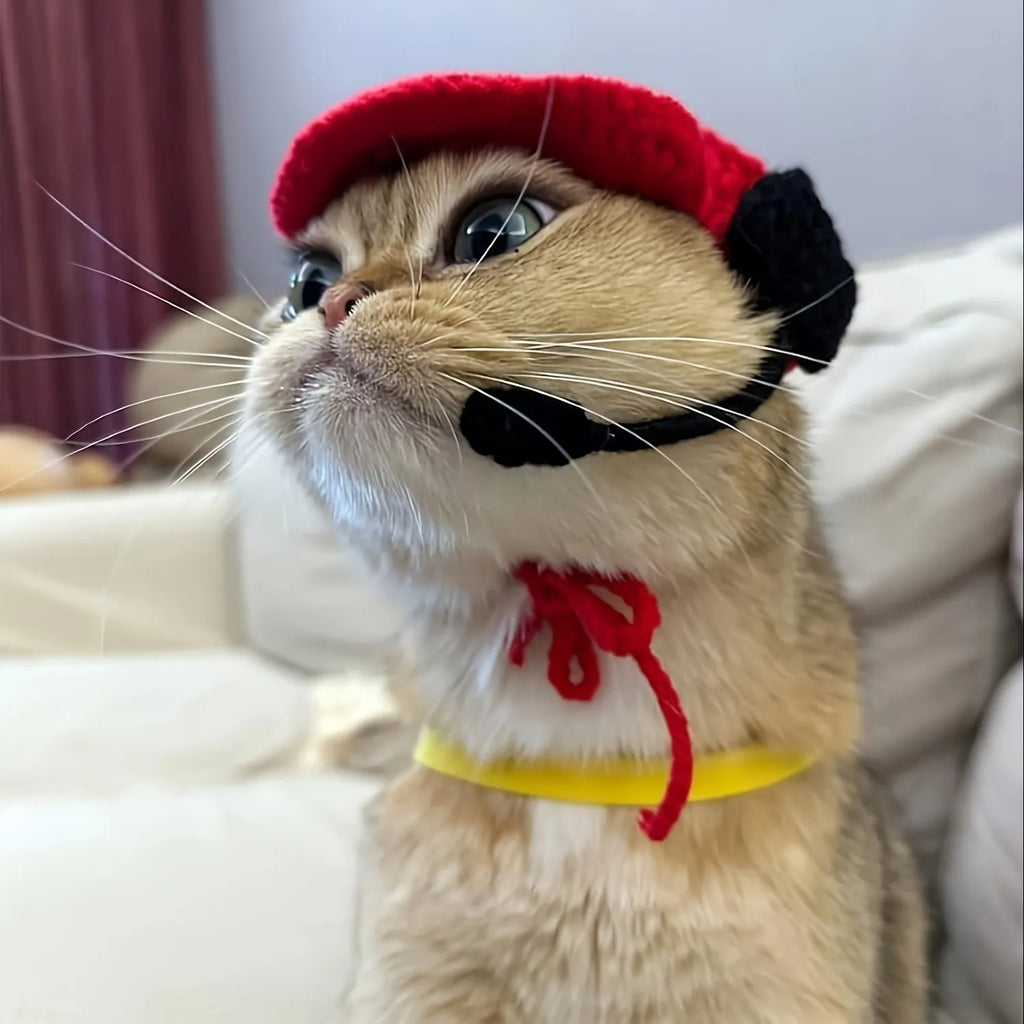 Handmade knitted cotton sweater and chef hat for small to medium pet birthday outfits
