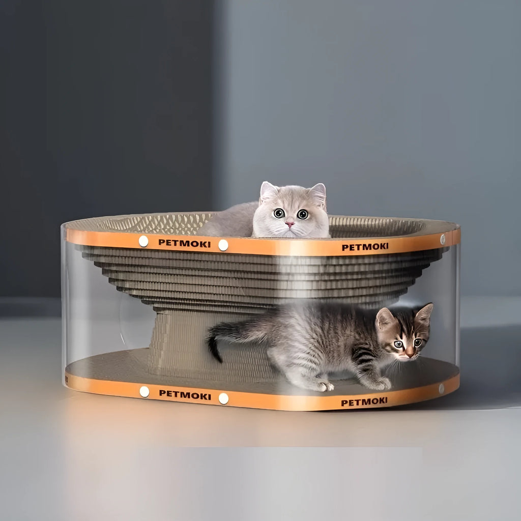 White transparent PVC cat tunnel attached to diamond pattern corrugated scratch board