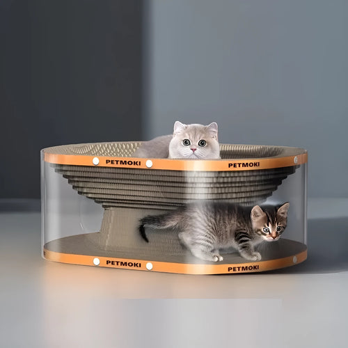 White transparent PVC cat tunnel attached to diamond pattern corrugated scratch board