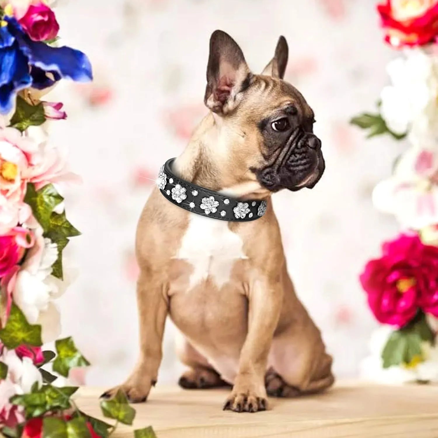 Black PU leather dog collar with silver rhinestone flower pattern and studs, shown on a small dog.