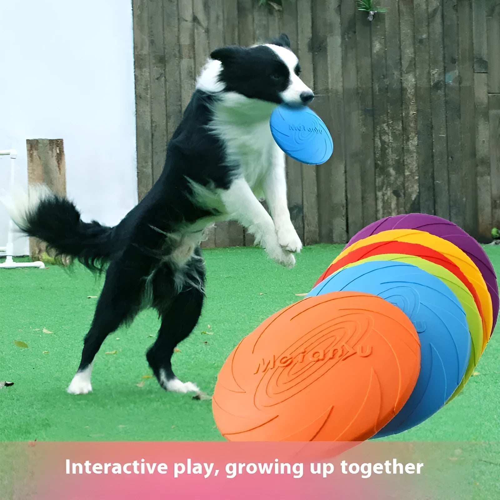 Dogs Base soft rubber dog frisbee toy in red, blue, and green colours shown in small, medium, and large sizes.
