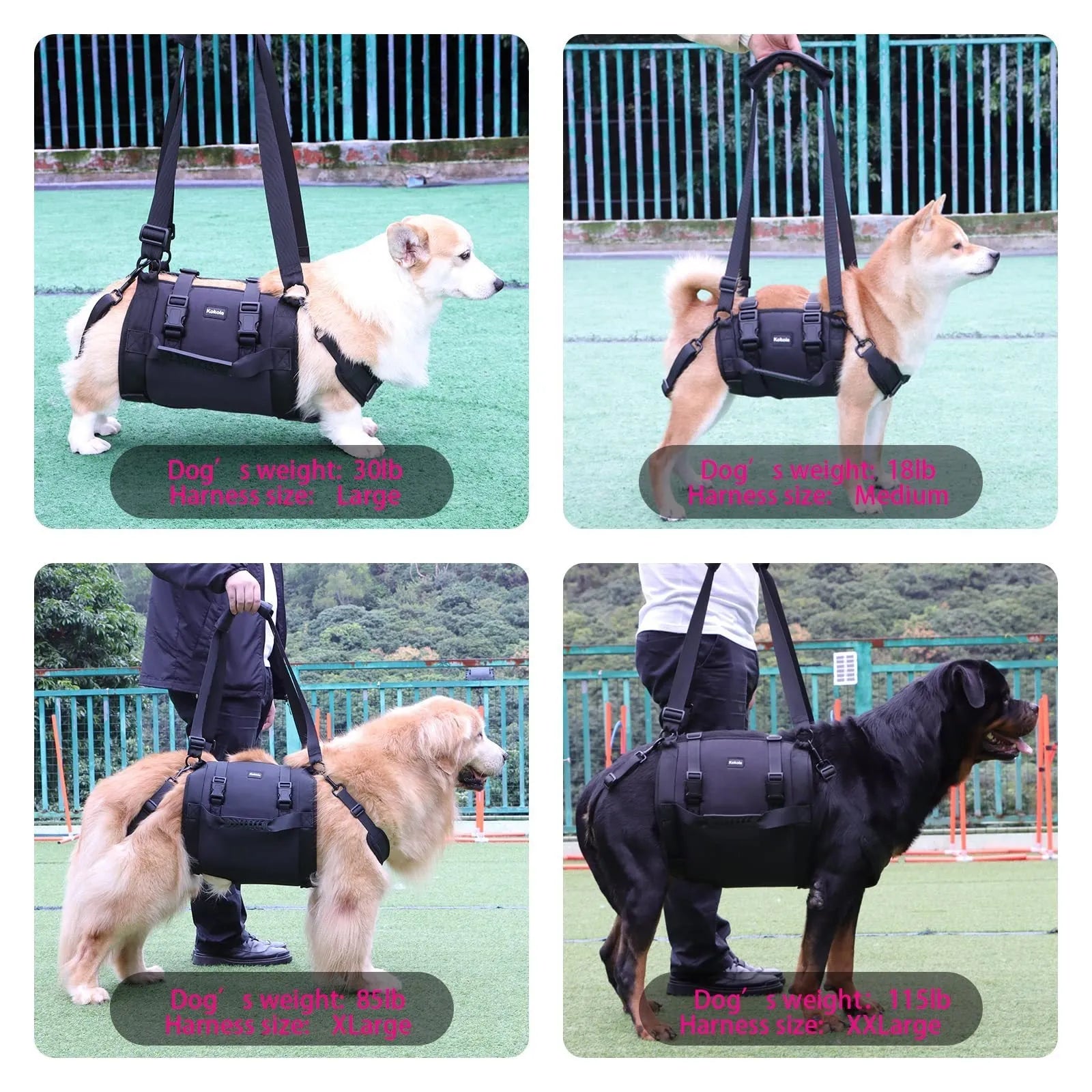 Black Oxford cloth dog harness showing chest strap and leg support system for rehabilitation and outdoor use.