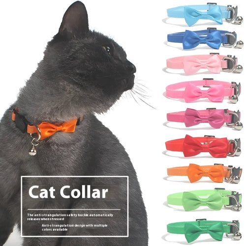 Adjustable striped nylon cat collar with a bell shown in multiple colours including red, blue, green, and pink.