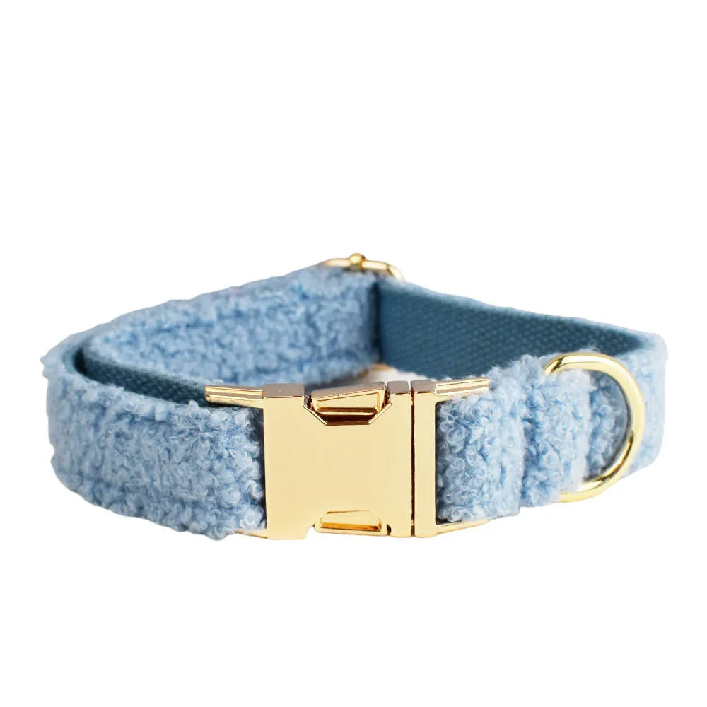 Blue teddy bear dog collar set with matching leash, bow, and vest on a pet