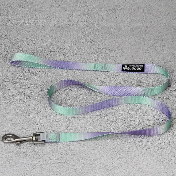 Nylon dog leash and collar set showing pink and blue gradient colour option.