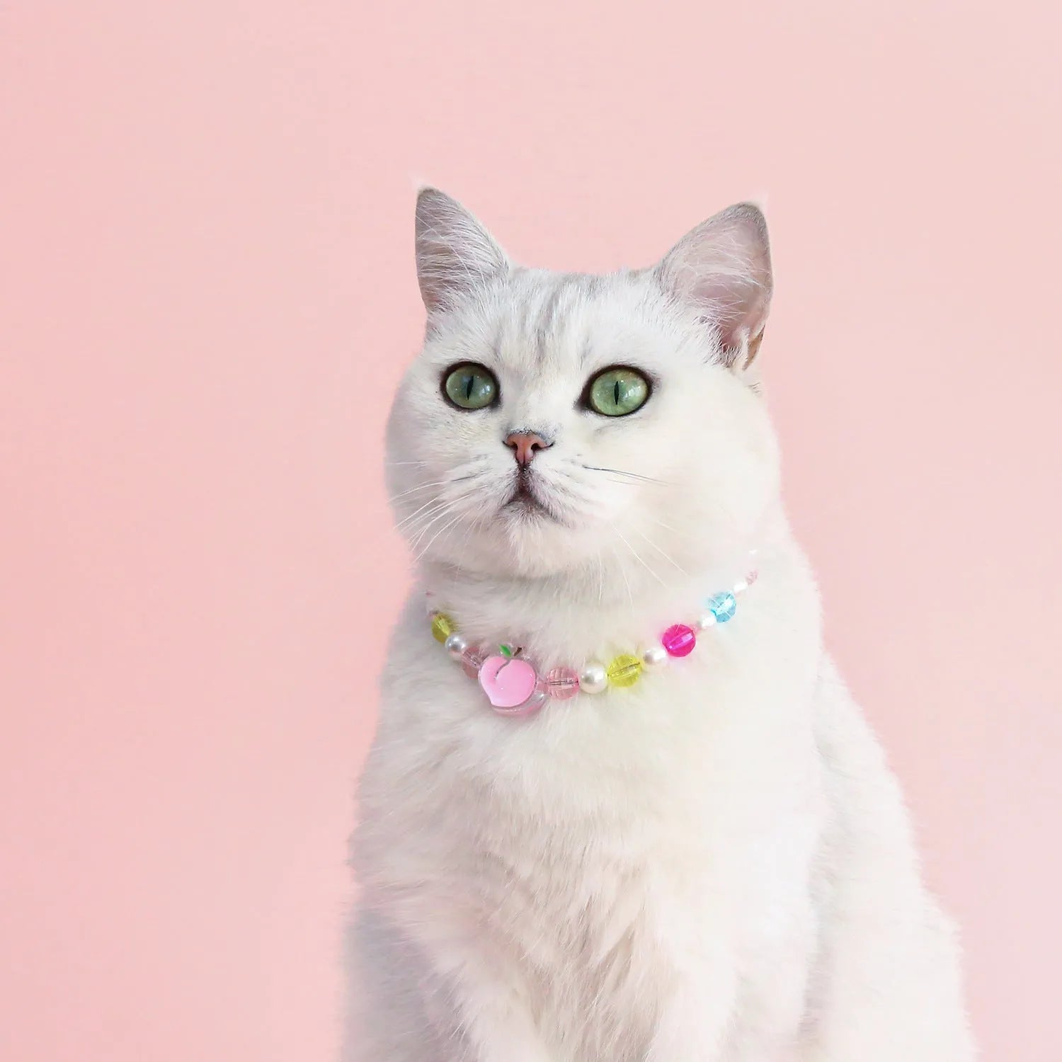Colourful plastic pearl pet necklace for cats with small flower bead design and adjustable sizing